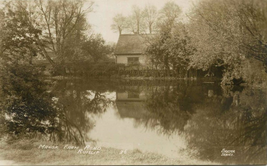 Manor Farm Pond Ruislip