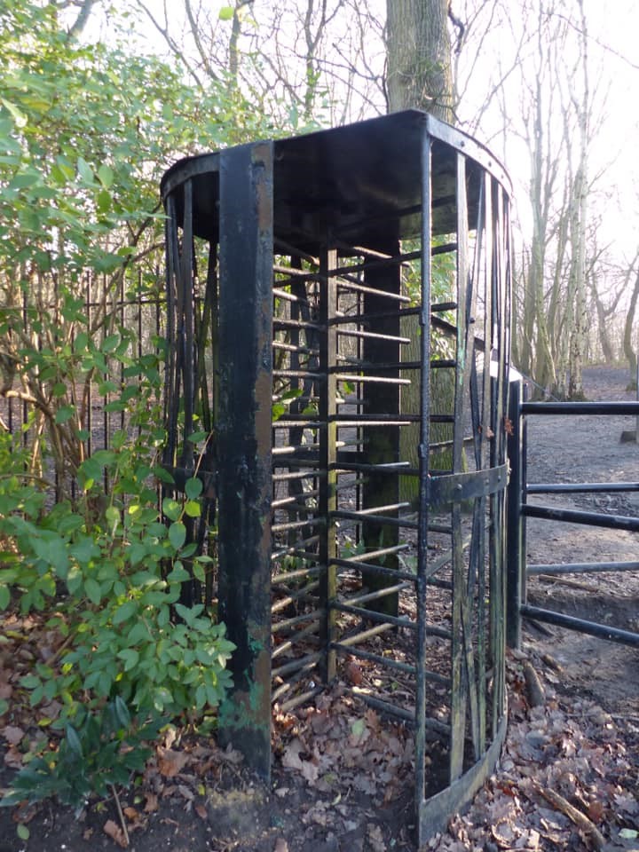 The Old Turnstyle Out To The Woods