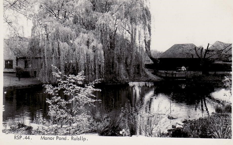 Manor Pond Ruislip 2