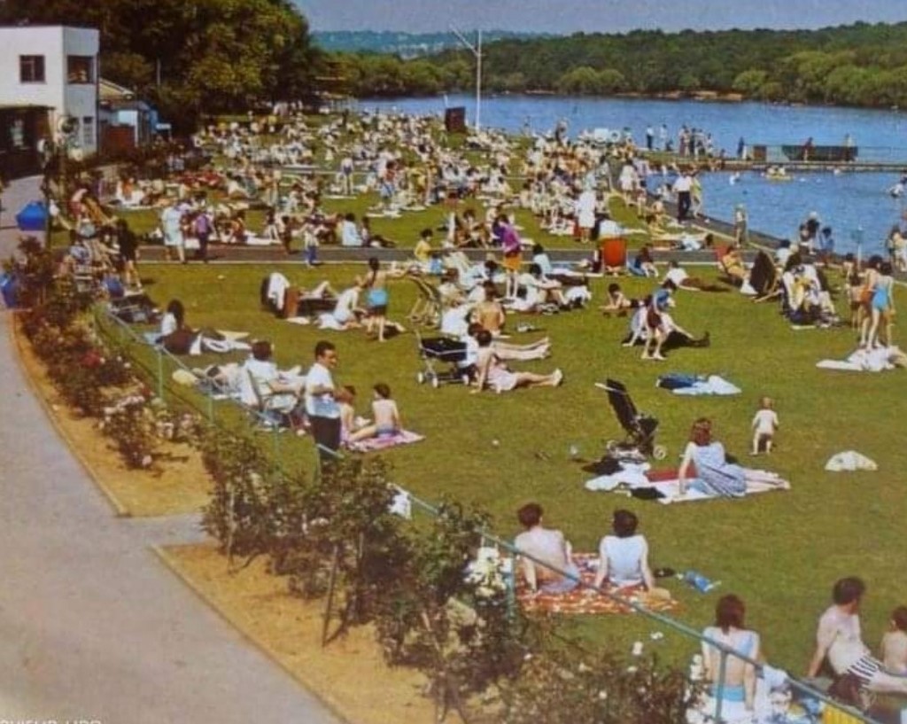 Sunbathing On The Lawn At Ruislip Lido
