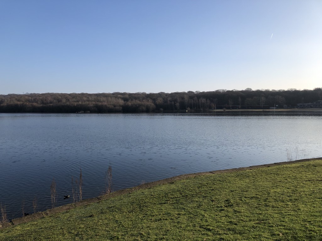 Looking Over Ruislip Lido