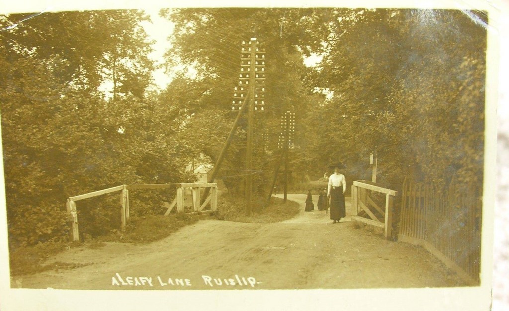 A Leafy Lane In Ruislip