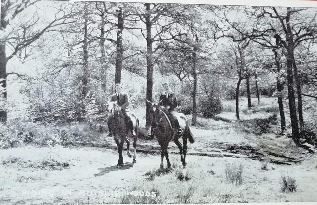 Riding In Ruislip Woods