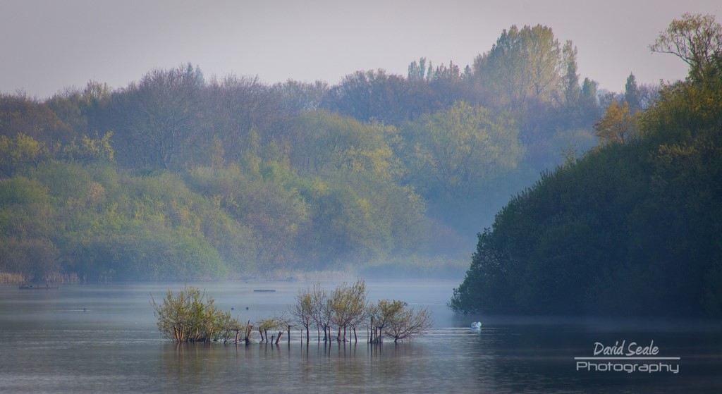 Mist On The Lido By David Seale
