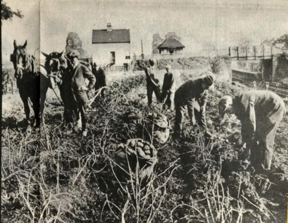Farming Near Eastcote Station