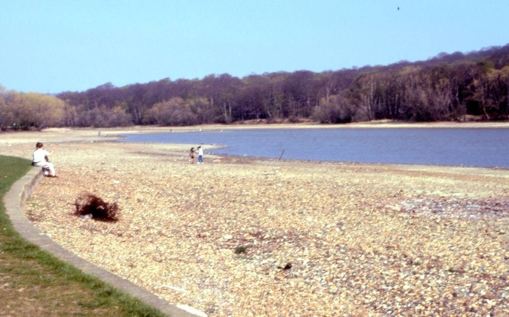 The Lido Without Water