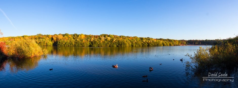 A Sunny View Of Ruislip Lido By David Seale