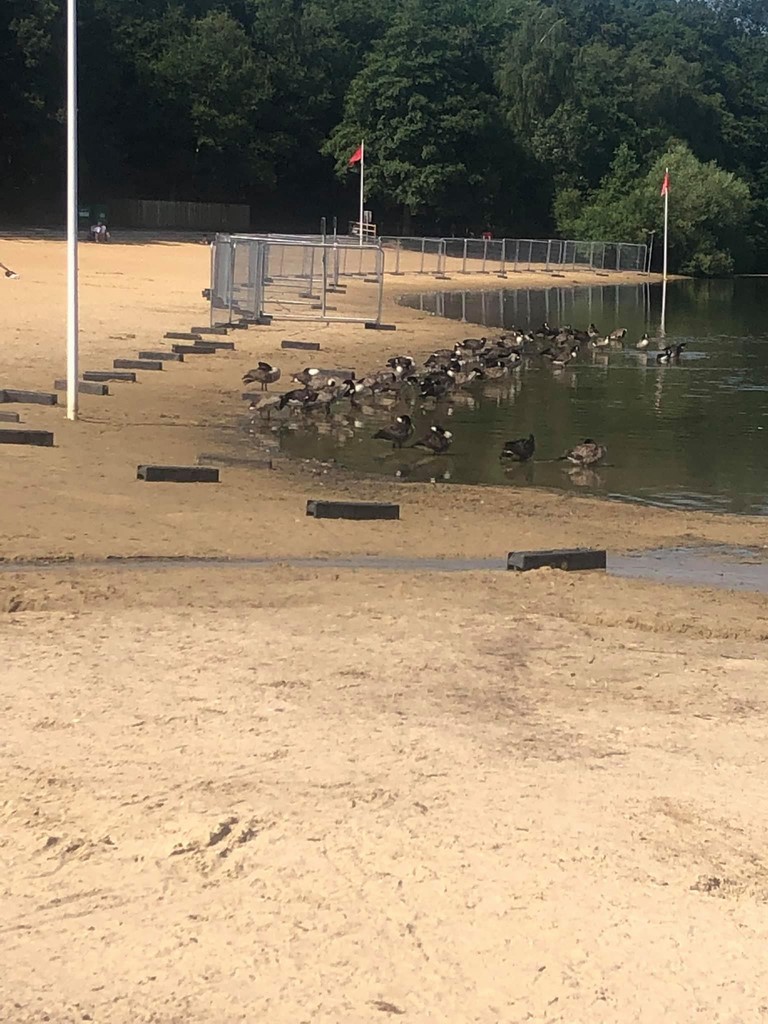 2021 Fence Going In To Keep People Out Of The Water
