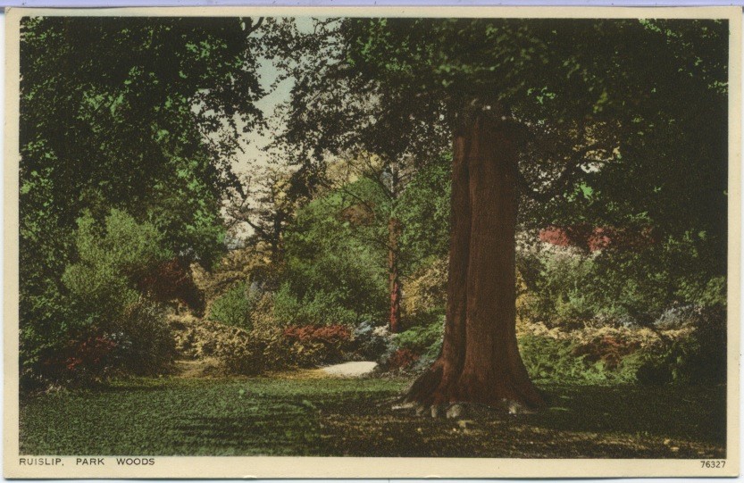 Ruislip Park Woods
