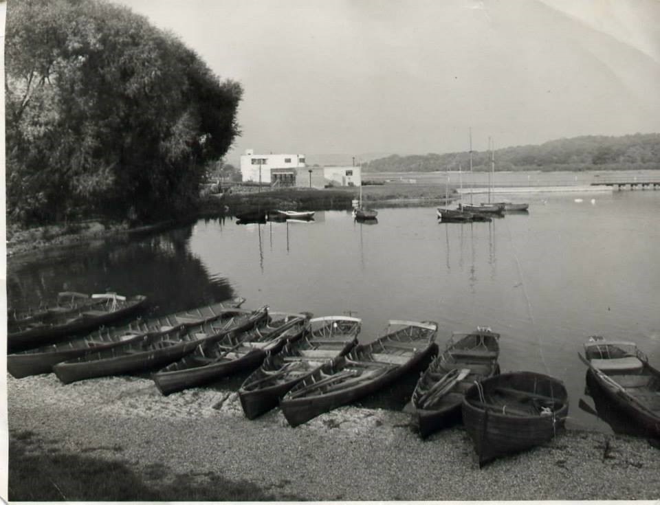 Rowing Boats At Ruislip Lido