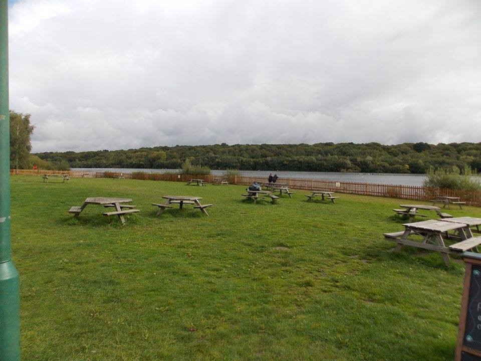 Benches Near The Waters Edge