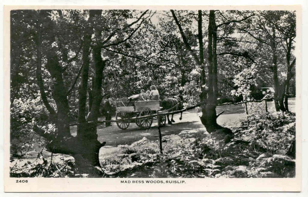 Horse and cart in Mad Bess Woods Ruislip