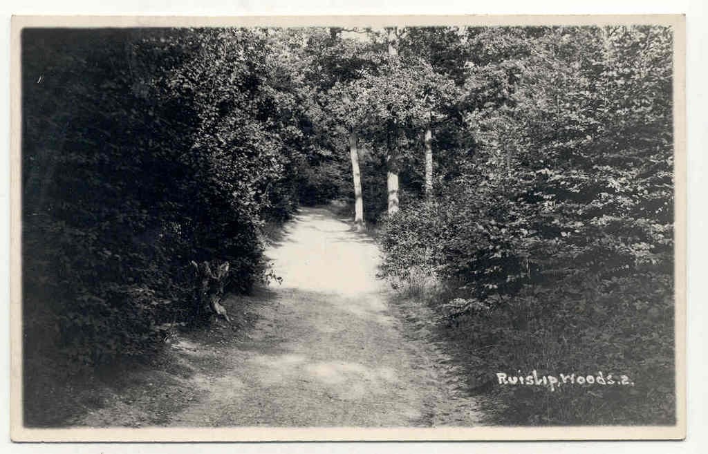 Ruislip Woods