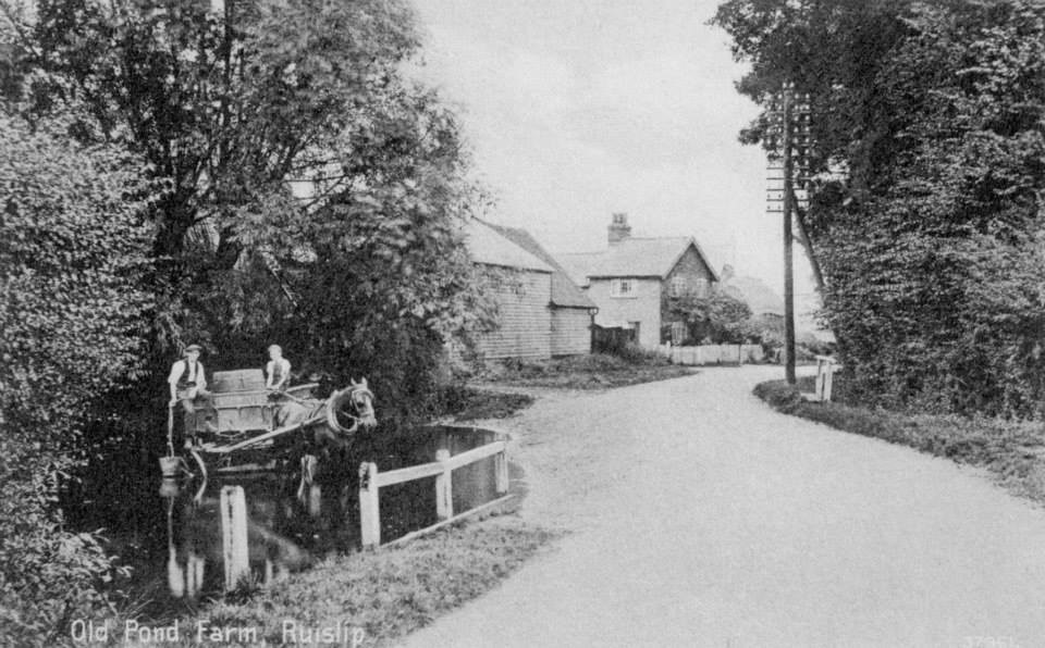 Old Pond Farm Ruislip