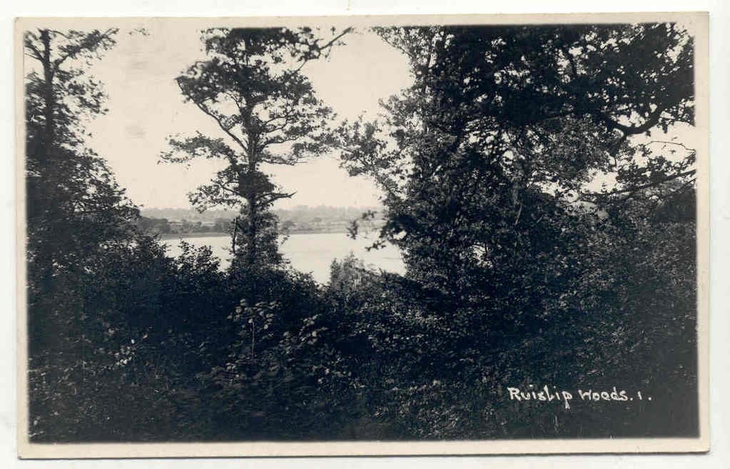 Ruislip Woods Postcard
