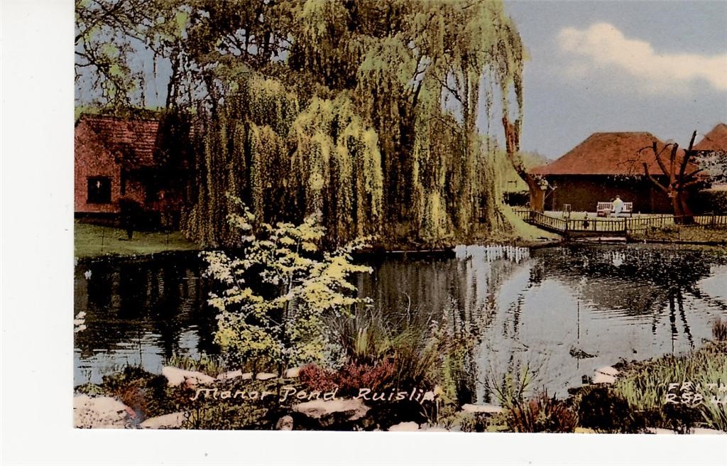 The Manor Pond At Ruislip