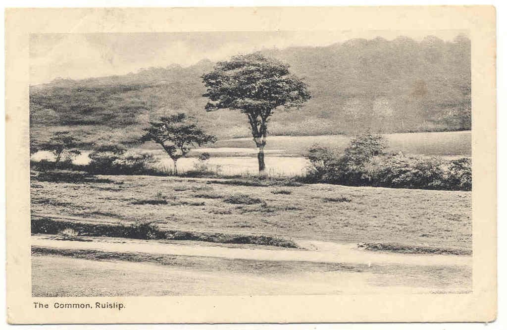 The Common Ruislip Postcard