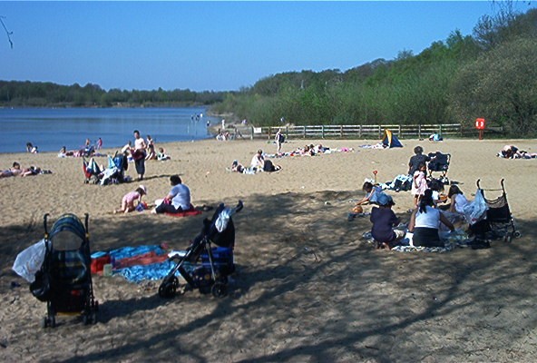 The Beach In The 1990'S 1
