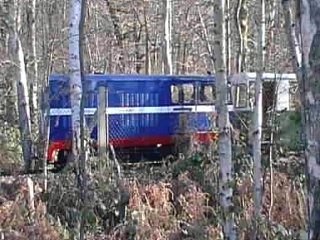 Train In The Woods At Ruislip Lido