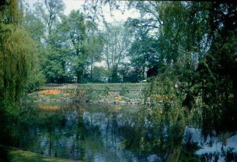 Ruislip Duck Pond 4
