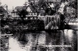 The Pond And The George Ruislip