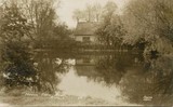 Manor Farm Pond Ruislip