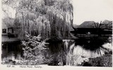 Manor Pond Ruislip 2