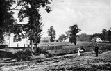 Near Sharps Lane Ruislip 4