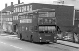 282 Bus Eastcote