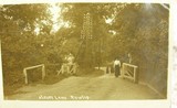 A Leafy Lane In Ruislip