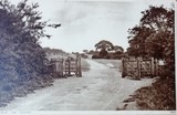Ruislip Common