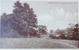 Ruislip Woods Adjoining River Pinn
