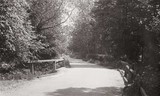 A Lane In Eastcote