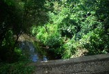 The Grand Union Canal Feeder From Ruislip Lido 22