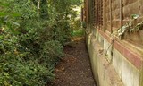 The Grand Union Canal Feeder From Ruislip Lido 25