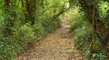 The Grand Union Canal Feeder From Ruislip Lido 6