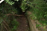 The Grand Union Canal Feeder From Ruislip Lido 41