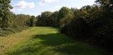 The Grand Union Canal Feeder From Ruislip Lido 42