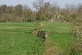 The Grand Union Canal Feeder From Ruislip Lido 47