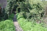 The Grand Union Canal Feeder From Ruislip Lido 17