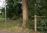 The Grand Union Canal Feeder From Ruislip Lido 49