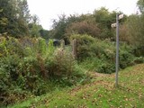 The Grand Union Canal Feeder From Ruislip Lido 52
