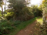 The Grand Union Canal Feeder From Ruislip Lido 55