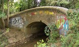 The Grand Union Canal Feeder From Ruislip Lido 11