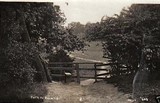 Park Wood Ruislip