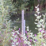 Water Level Gauge At Ruislip Lido