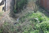The Grand Union Canal Feeder From Ruislip Lido 64