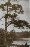 Ruislip Reservoir Postcard 13