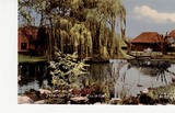 The Manor Pond At Ruislip