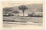 The Common Ruislip Postcard